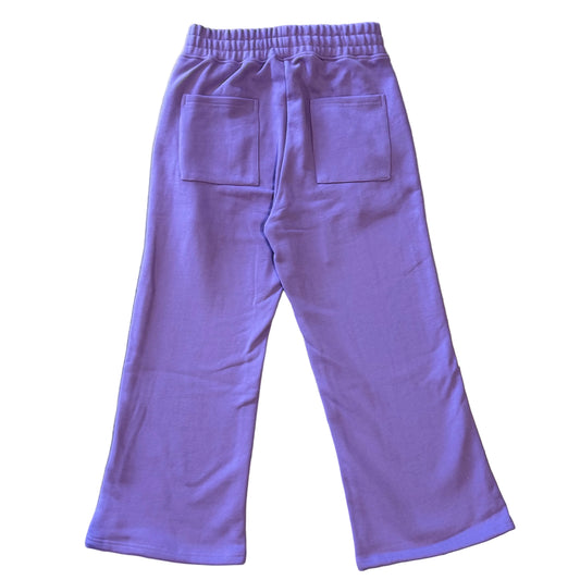 Grounded Blanks Sweatpants Purple
