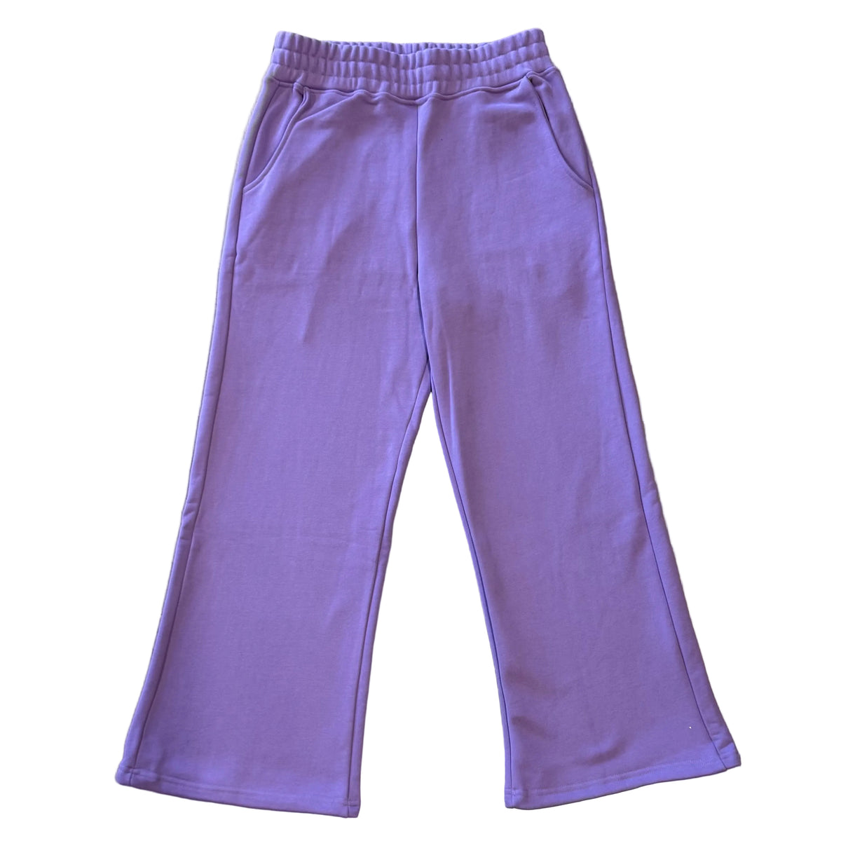 Grounded Blanks Sweatpants Purple
