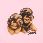 Supreme FW26 Puppies Tee Pink