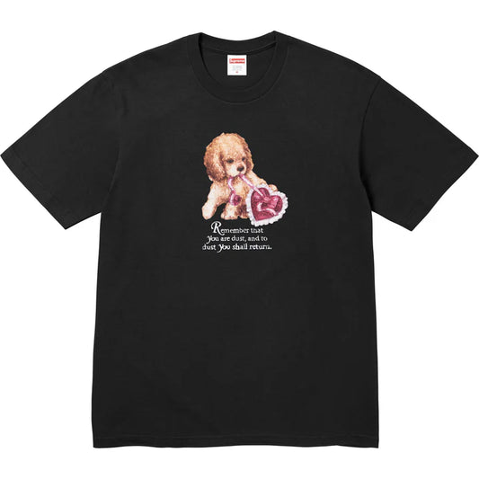 Supreme Dust Tee