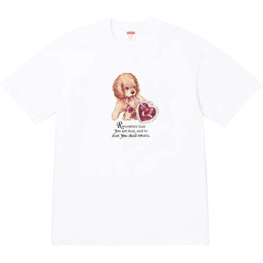 Supreme Dust Tee